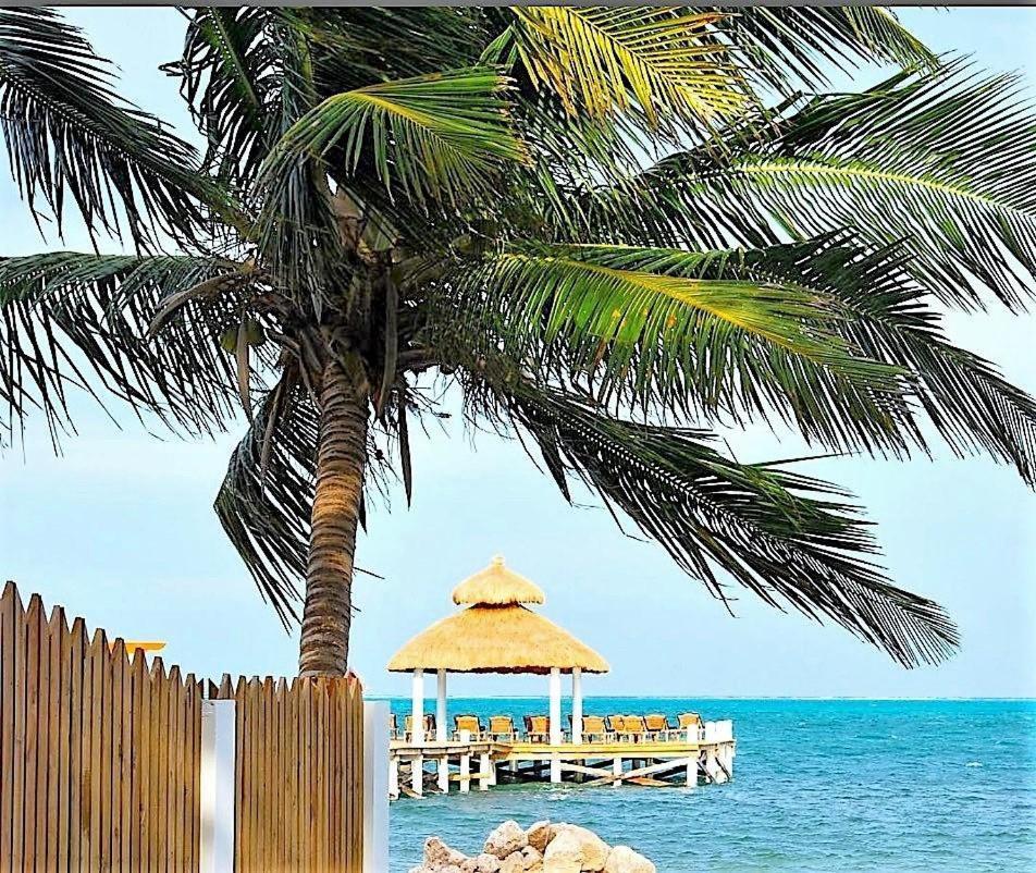 Velento Partial Ocean View #8 Villa Caye Caulker Eksteriør billede